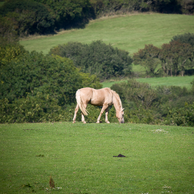 Osmington Mills - 27 August 2010