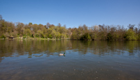 Shiplake - 08 April 2011