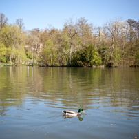 Shiplake - 08 April 2011