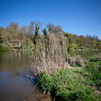 Shiplake - 08 April 2011