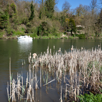 Shiplake - 08 April 2011