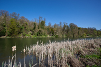 Shiplake - 08 April 2011