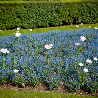 Cliveden - 22 April 2011