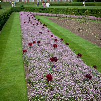 Cliveden - 22 April 2011