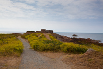 Guernsey - 06 June 2011