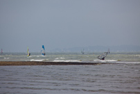 Hill Head - 25 June 2011
