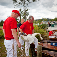 Henley-on-Thames - 20 July 2011 - Swan Upping