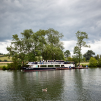 Henley-on-Thames - 20 July 2011 - Swan Upping