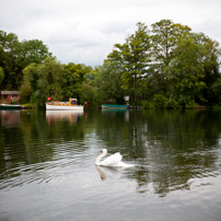 Henley-on-Thames - 20 July 2011 - Swan Upping