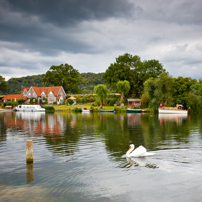 Henley-on-Thames - 20 July 2011 - Swan Upping