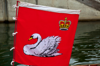 Henley-on-Thames - 20 July 2011 - Swan Upping