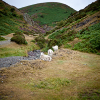 Church Stretton - 13 August 2011