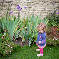 Croft Castle - 13 August 2011