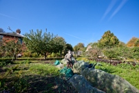 Hugheden Manor - 22 October 2011