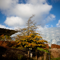 Eden Project - 09 December 2011