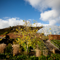 Eden Project - 09 December 2011