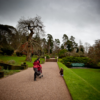 Knightshayes Court - 11 December 2011