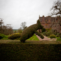 Knightshayes Court - 11 December 2011