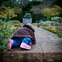 Knightshayes Court - 11 December 2011