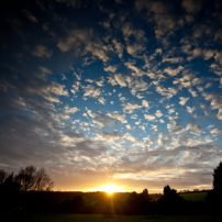 Hughenden Manor - 24 December 2011