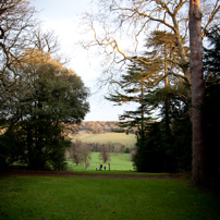 Hughenden Manor - 24 December 2011