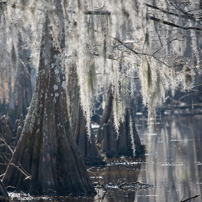 New Orleans - 05 to 08 February 2011