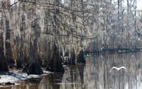 New Orleans - 05 to 08 February 2011