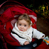 Bracknell's Forest - 12 February 2012