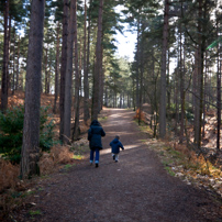 Bracknell's Forest - 12 February 2012