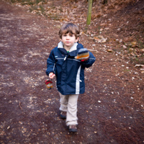 Bracknell's Forest - 12 February 2012