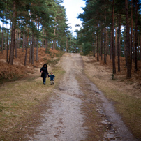 Bracknell's Forest - 12 February 2012