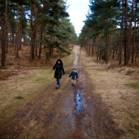 Bracknell's Forest - 12 February 2012