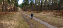 Bracknell's Forest - 12 February 2012