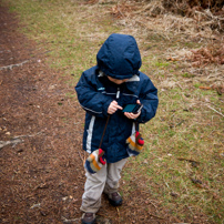 Bracknell's Forest - 12 February 2012