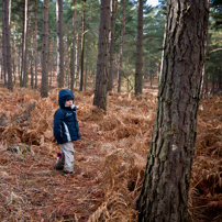 Bracknell's Forest - 12 February 2012