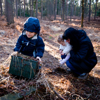 Bracknell's Forest - 12 February 2012