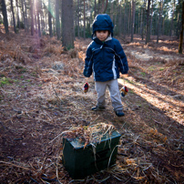 Bracknell's Forest - 12 February 2012