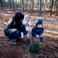 Bracknell's Forest - 12 February 2012