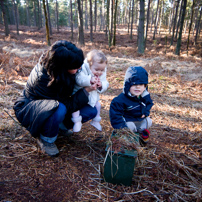 Bracknell's Forest - 12 February 2012