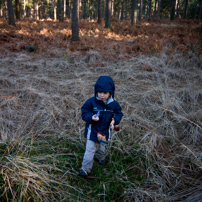 Bracknell's Forest - 12 February 2012