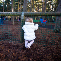 Bracknell's Forest - 12 February 2012