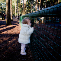 Bracknell's Forest - 12 February 2012