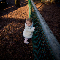 Bracknell's Forest - 12 February 2012