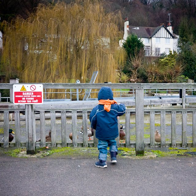 Henley-on-Thames - 10 January 2011