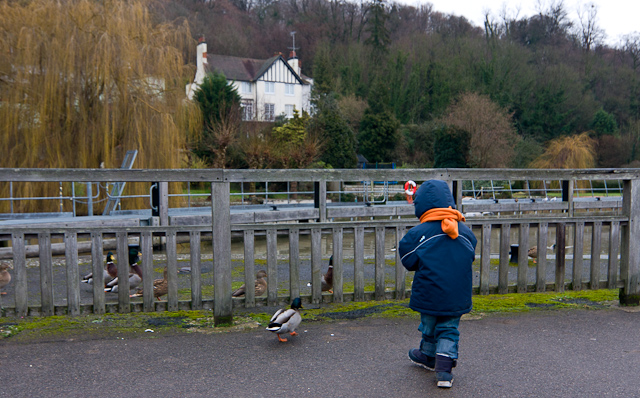 Henley-on-Thames - 10 January 2011