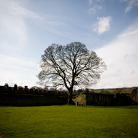 Ludlow - 12 March 2011