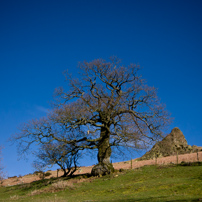 Hope Bowdler Hill Near Church Stretton - 13 March 2011