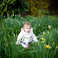 Basildon Park - 20 March 2011