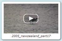 2005_newzealand_part17