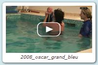 2008_oscar_grand_bleu